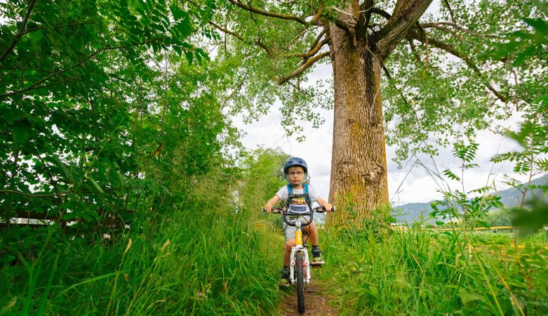 ronnie-rodeo-small-19