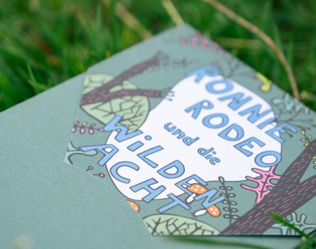 ronnie-rodeo-small-14