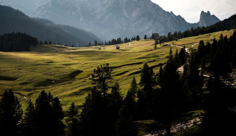 dolomiten-pla-tzwiese