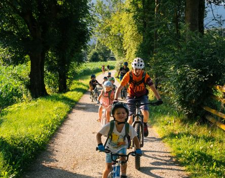 ronnie-rodeo-small-44