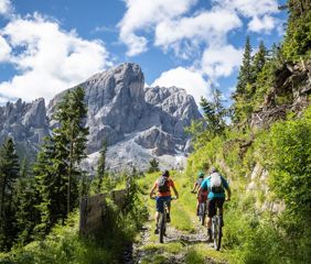 dolomiten-peitler-kofl