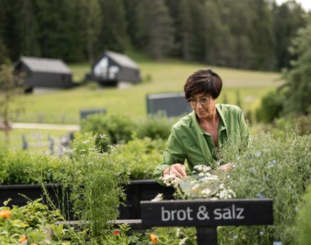 hotel-pfoesl-bikehotels-su-dtirol-3