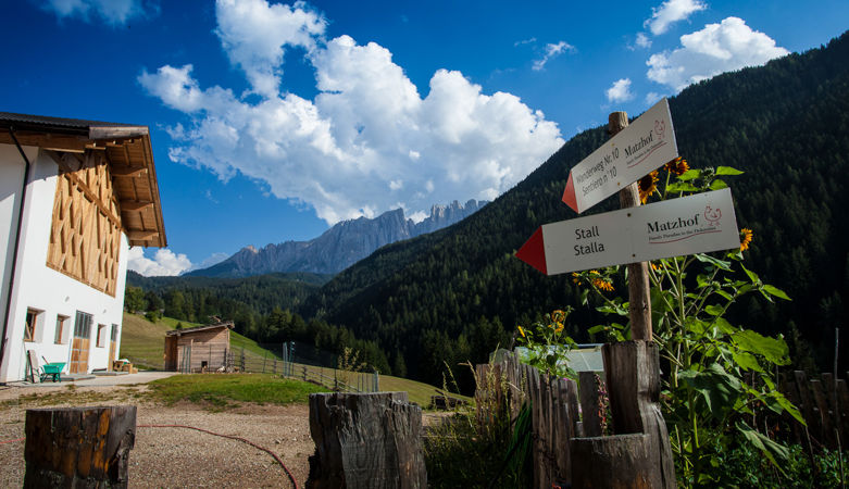 matzhof-2012-shoot1-44