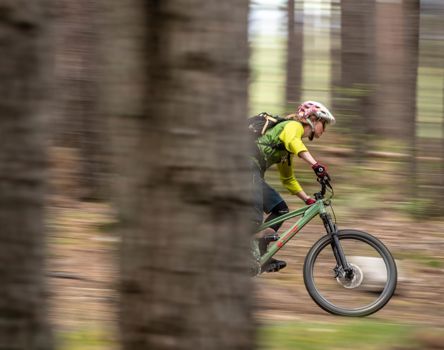Mountainbiken im Südtiroler Wald