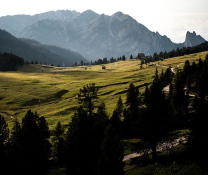 dolomiten-pla-tzwiese