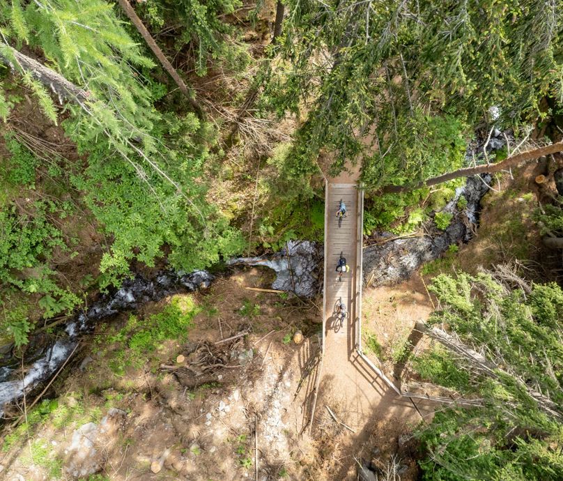 Mountainbiken-Brixen-Wald