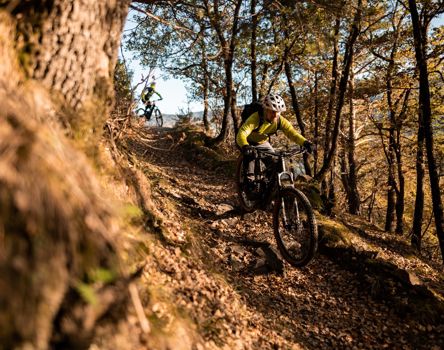 mtb meran