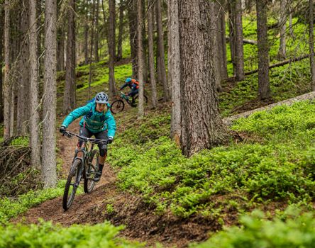 sexten-micaela-gatto