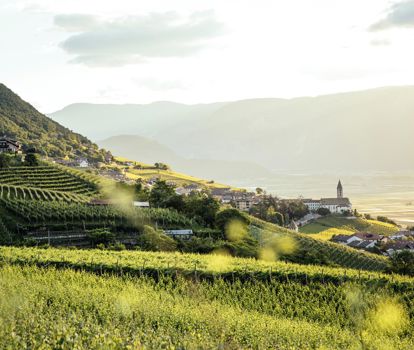 Kurtatsch - Suedtiroler Wein Benjamin Pfitscher