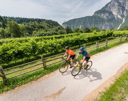 radweg-su-den-su-dtirols