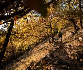 meraner-land-o-tzi-bike