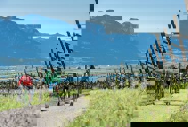 Kalterer See Radweg (3).JPG