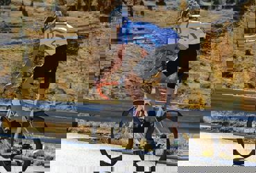 Bike Hotels Südtirol