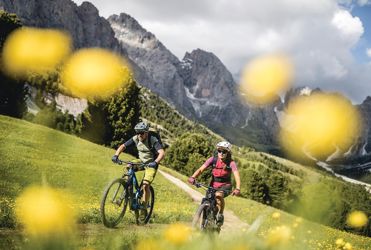 Dolomites Val Gardena