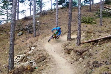 19 Propain Trail.png