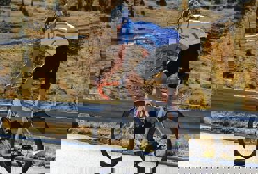 Bike Hotels Südtirol