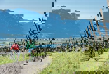 Kalterer See Radweg (3).JPG