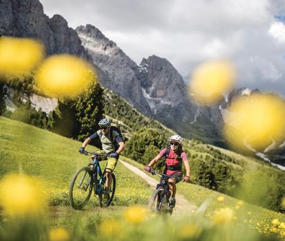 Dolomites Val Gardena