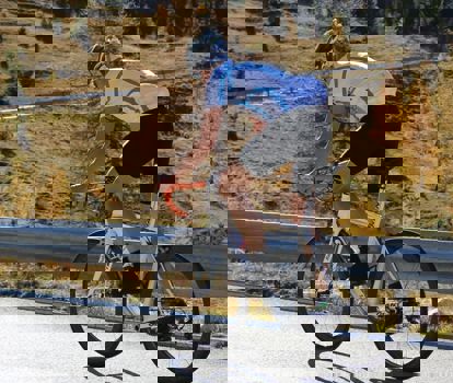 Bike Hotels Südtirol