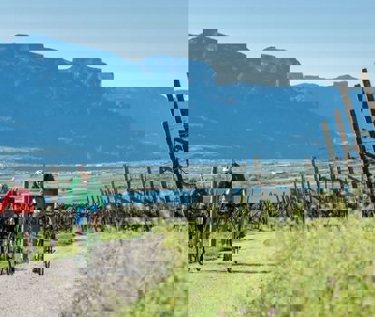 Kalterer See Radweg (3).JPG