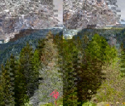 Kirsten Sörries.jpg