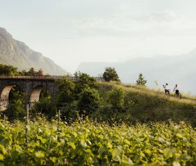 radweg-fleimstalbahn